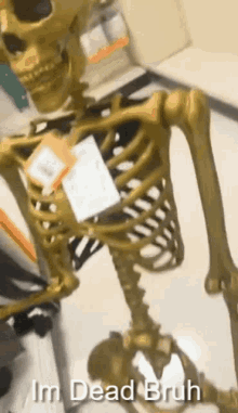 IMG-0519.gif