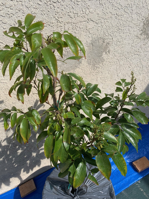 2019-3-5 (3)