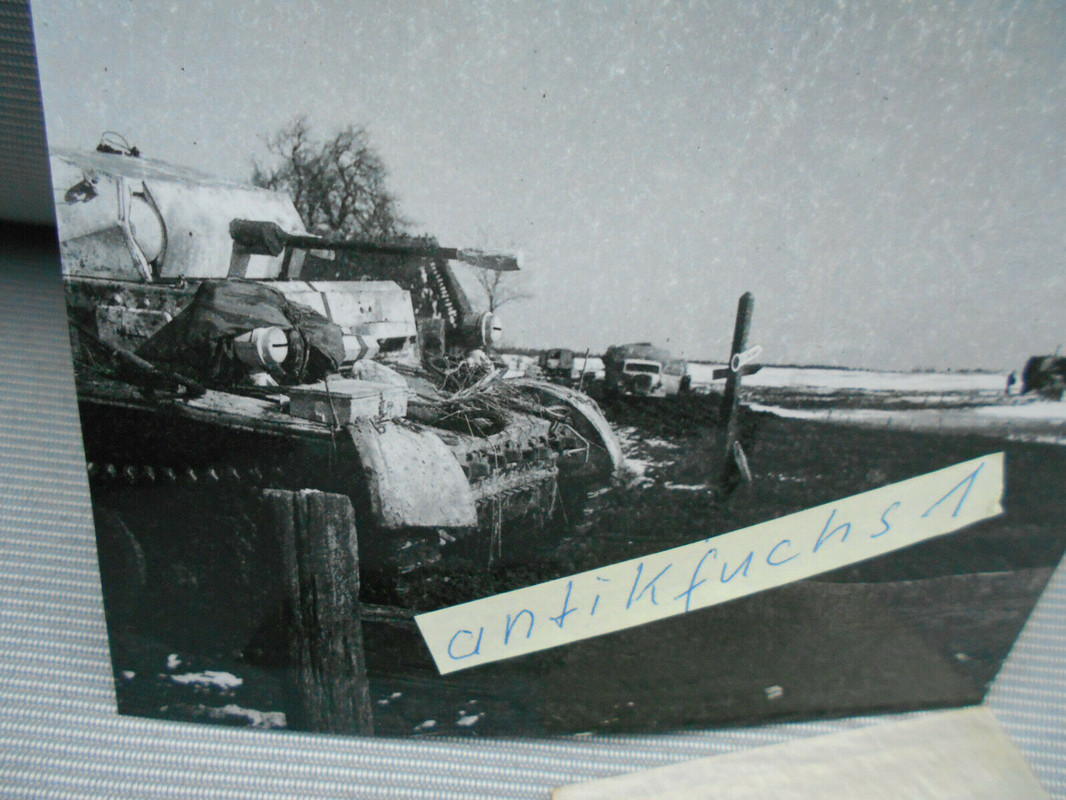 Aufklärungs Panzer Typ LUCHS in Kurland an der Ostfront 1944_2