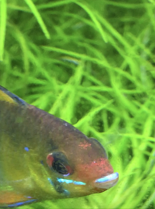 832A098E-C407-4D65-A108-0CEAF6D31645