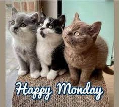 MONDAY-lundi-19