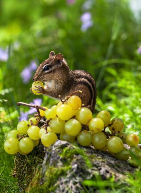 A6039D06 9539 4FEE 82EC 53E8874098A7