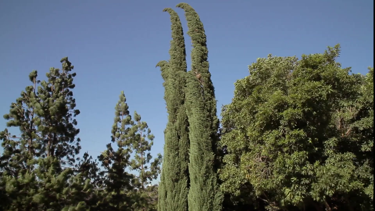 vlcsnap-2023-10-28-13h31m30s303