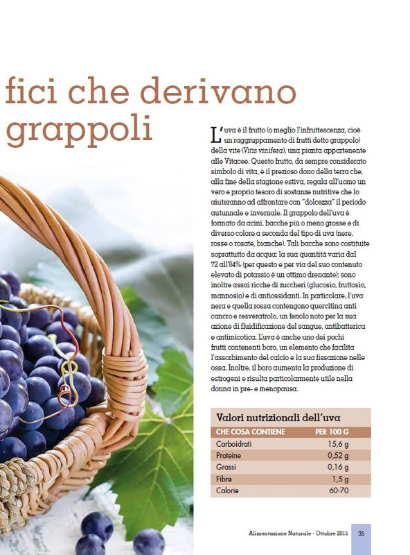 Alim Nat Ott 2015 (6)