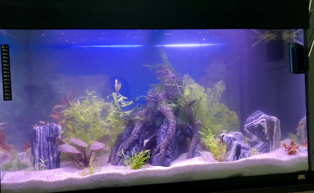 33B382C6-6C47-448B-B5EE-9AADCA9C6F3F