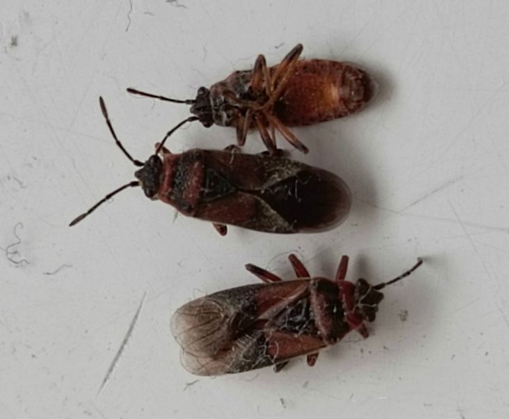 obraz_2025-01-01_152433102