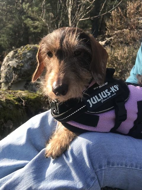 [Image: BB92-D500-1536-4-BB5-AA58-74-F60-EC9-D352.jpg]