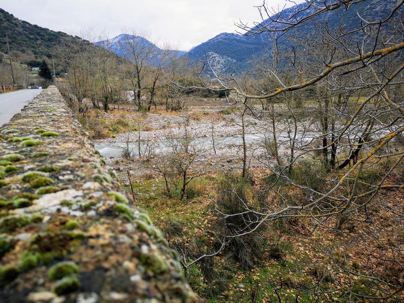 ΚΟΠΗ ΠΡΩΤΟΧΡΟΝΙΑΤΙΚΗΣ ΠΙΤΑΣ ΠΕΛΟΠΟΝΝΗΣΟΥ 2019 - Σελίδα 2 IMG-20190127-141409