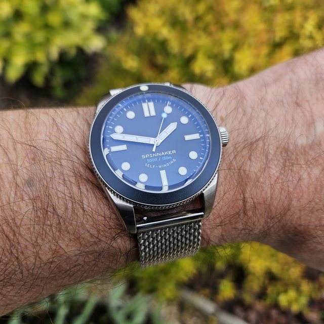 Spinnaker Watches - Page 13 20240602-134804