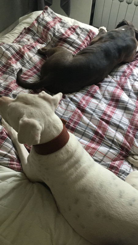 6AF2ECF3-57DB-4424-90C9-4B791CE13B64