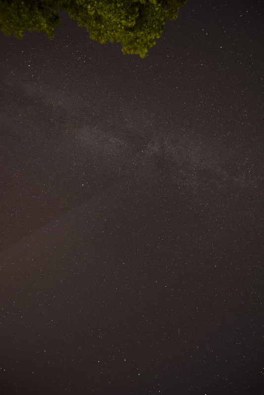 36.01 - NEW_9435 (Konfiturek)