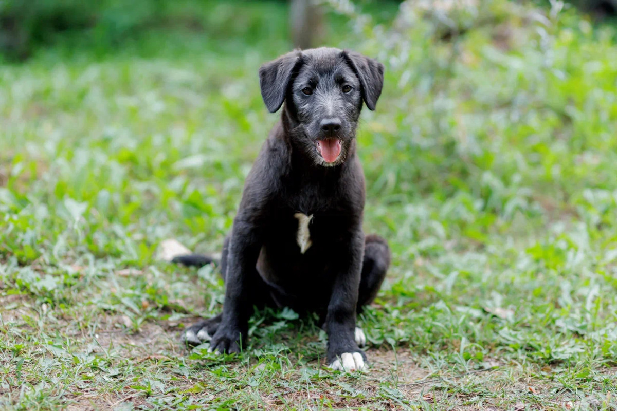 resize-image-online.com_2jpg_sblwRBZL