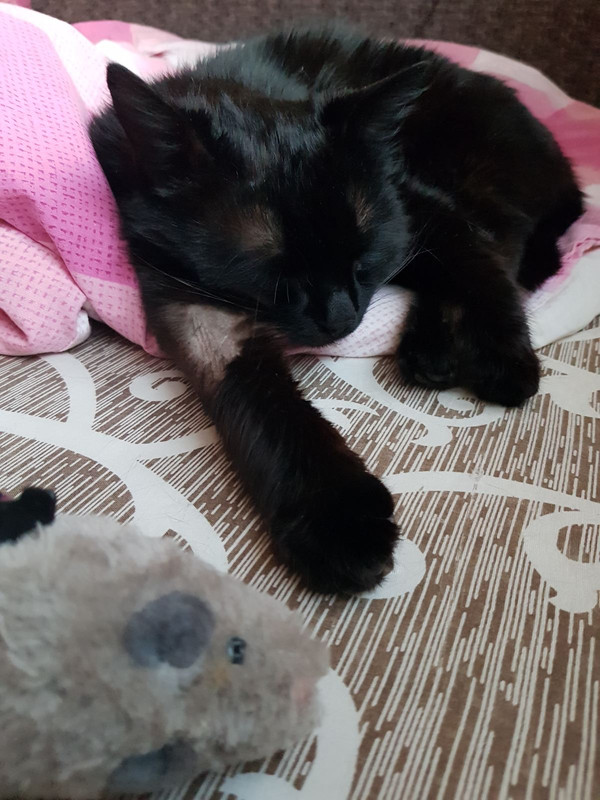 FDDC8DC4-E738-4ECC-92C8-5803290AC2B3