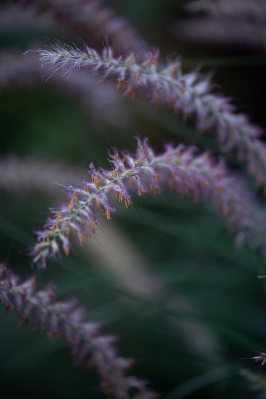 IMG-a0818ff32e124925c7e4cd0ffb38cf5b-V
