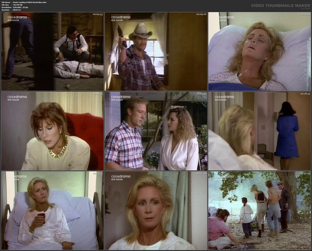 Knots Landing S10E02 Borderline.mkv
