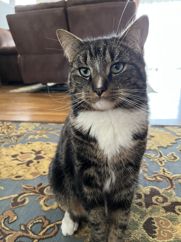 F0DCD51F-A08A-49C6-B3BD-30BD8BA25463