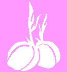 kabe