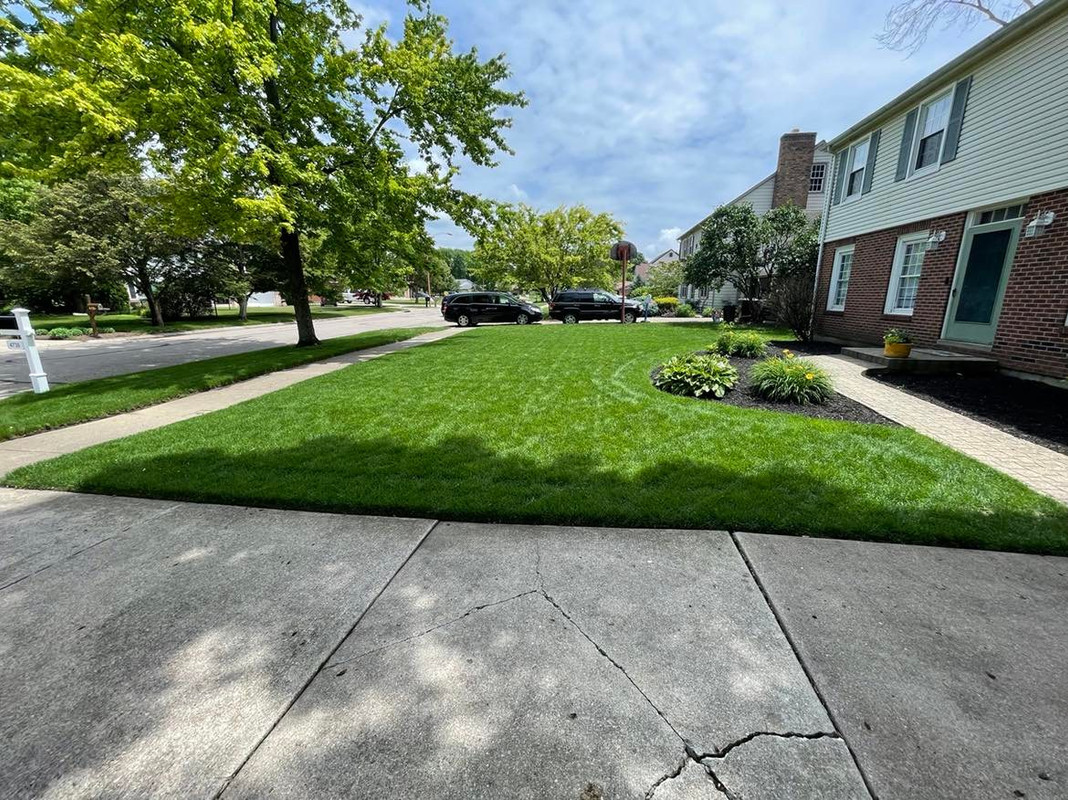 278188994_521172152832105_5938861231807328928_n