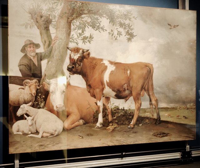 Escapada por Amsterdam - La Haya - Delft - Rotterdam - Leiden - Londres - Blogs de Europa - Museo Mauritshuis, decepcionante Depot Boijmans y callejeo por Delft y Leiden (66)