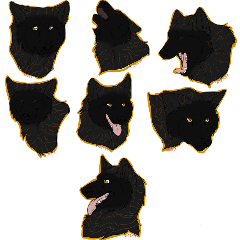 43AE77AE-A496-40BA-8624-1A13AC99B7E4