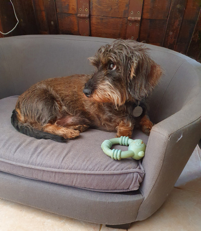 [Image: 20220711-070821.jpg]