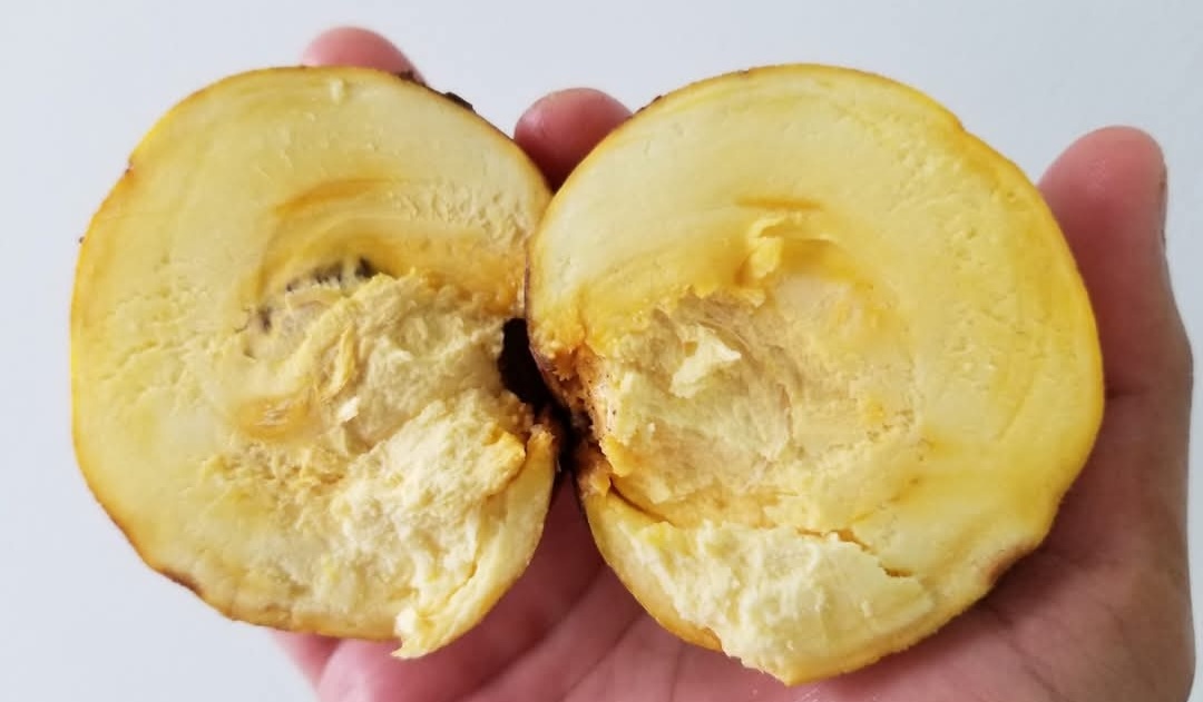 Screenshot 20251221 012045 Facebook