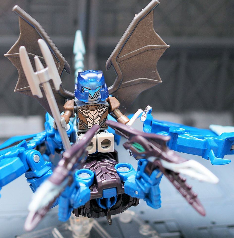 1796051_10204783897975334_581742492203268673_o_1