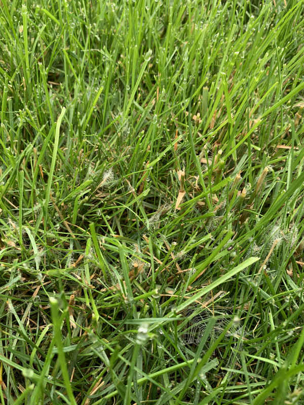 8876640C-7912-4FFA-AACA-9FD44B77E7E6