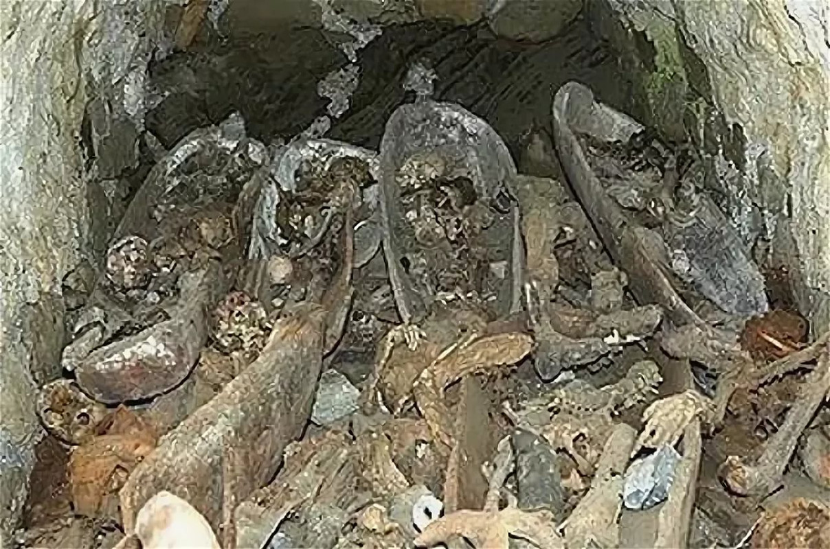 9030FFC7-F06E-4AF8-94BE-9476E3C89DF2