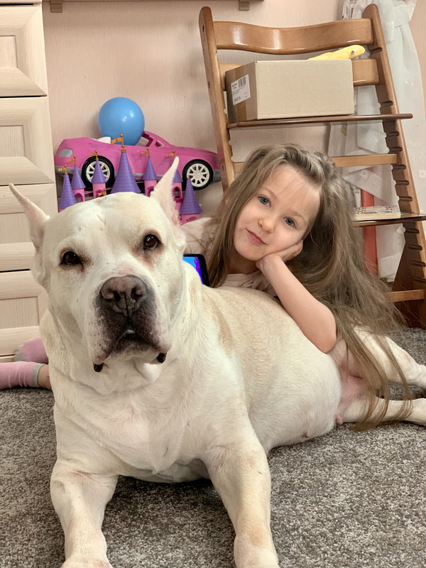 C4608913-482E-43A4-8587-6BDE6AA18FE2