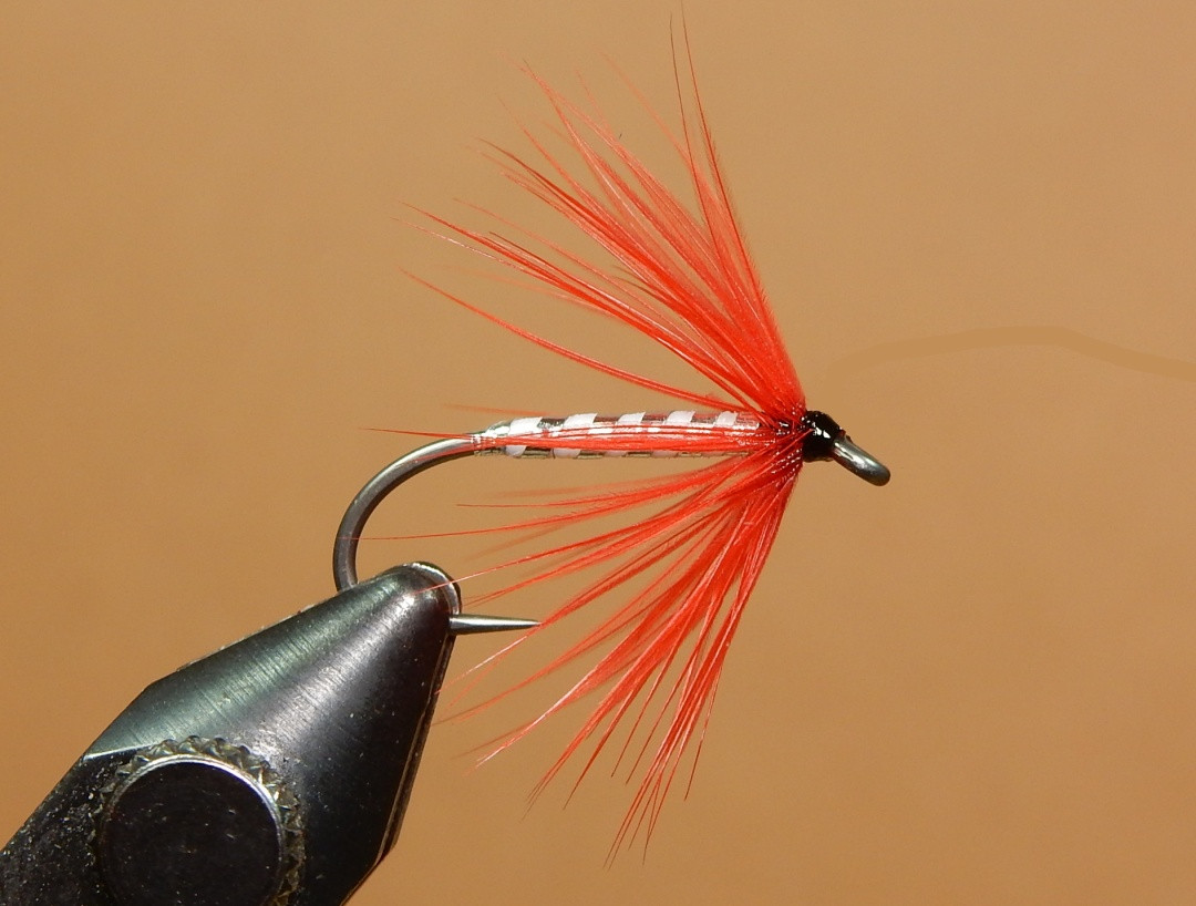 Ibis-Hackle-1080.jpg