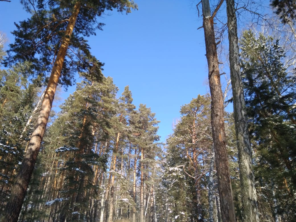 4BEDB98E-D965-43B5-8BE2-ABDDF9C82E33