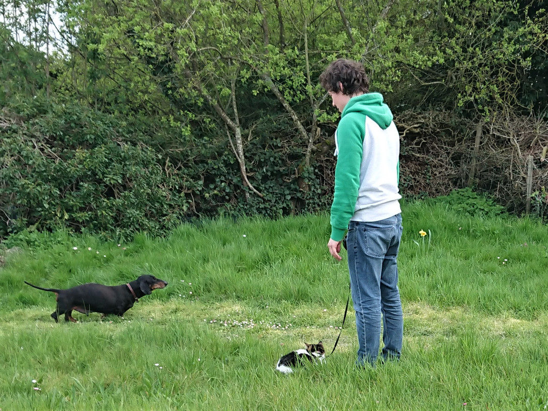 [Image: DSC-1565.jpg]