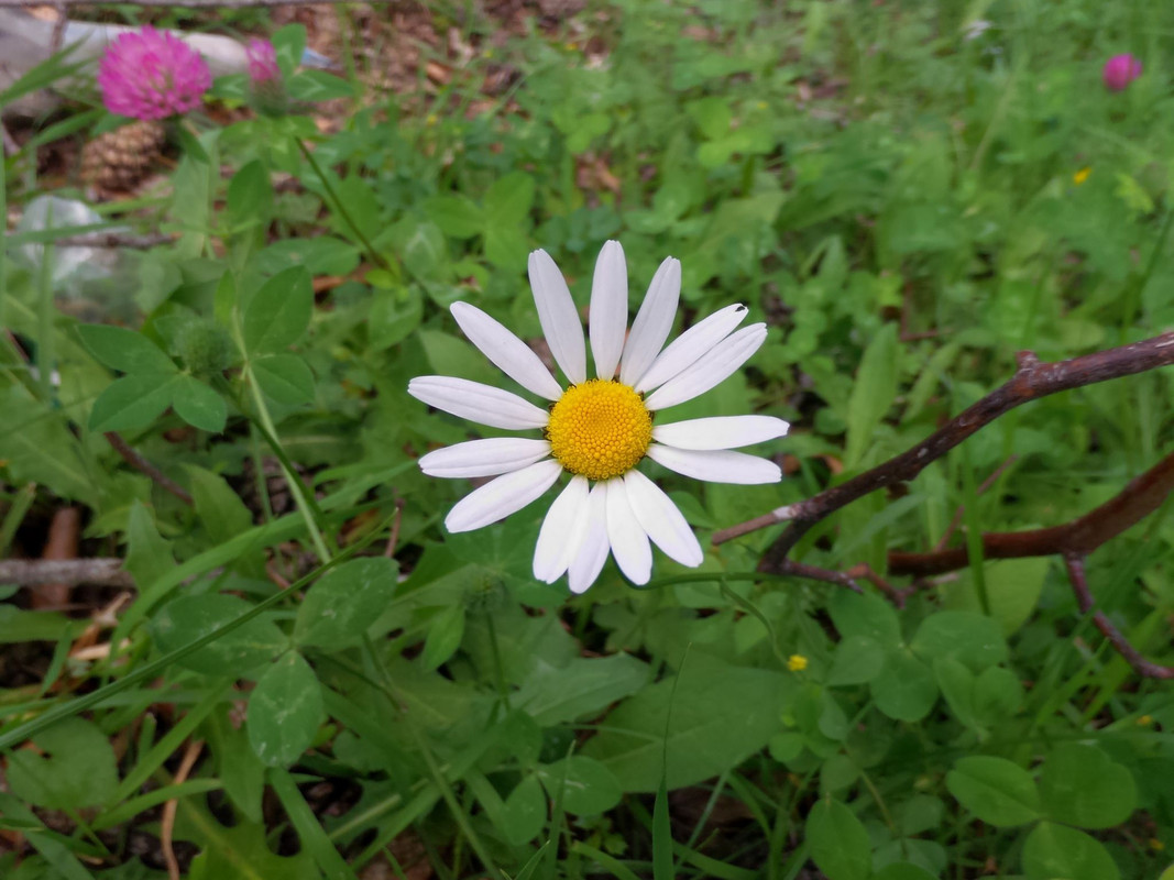 356055904-1685201418649988-3729083960405