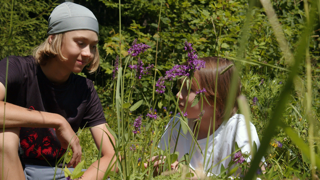 13-я звезда МС финал_00_24_24_02