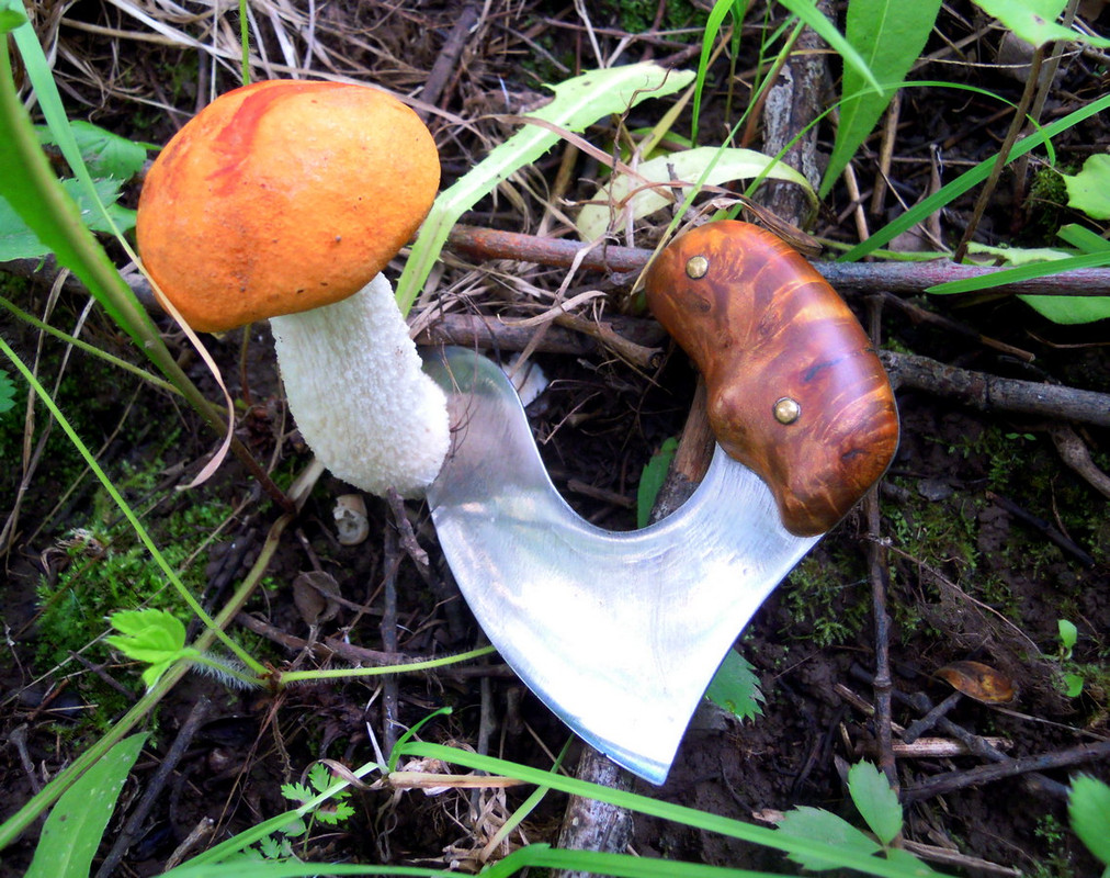 DSCN3925.jpg