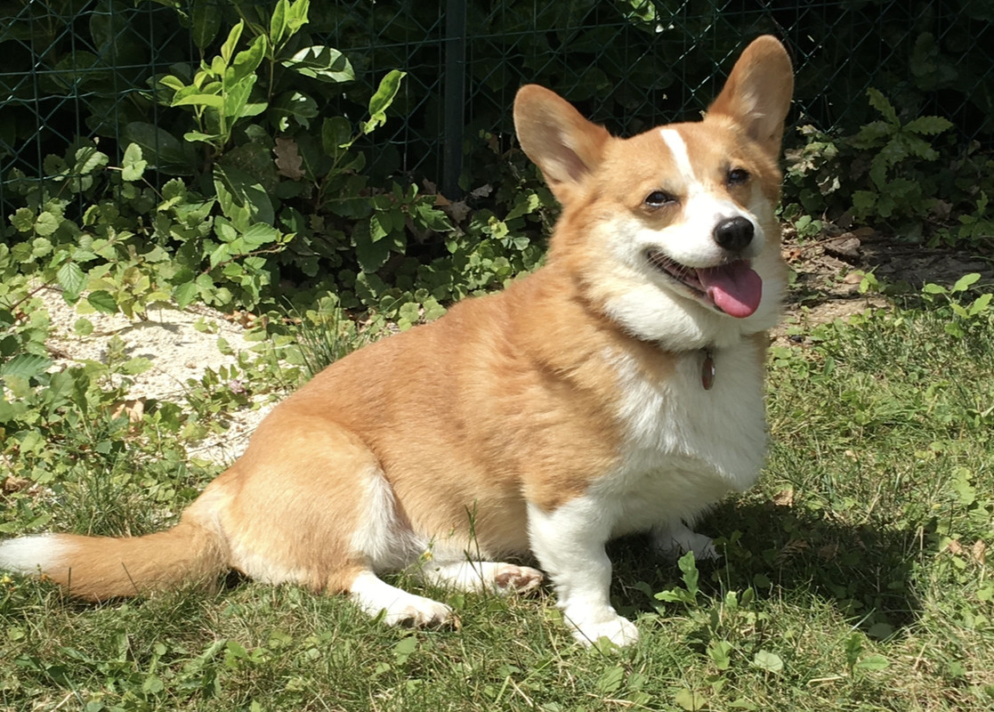 [Image: IMG-4356.jpg]