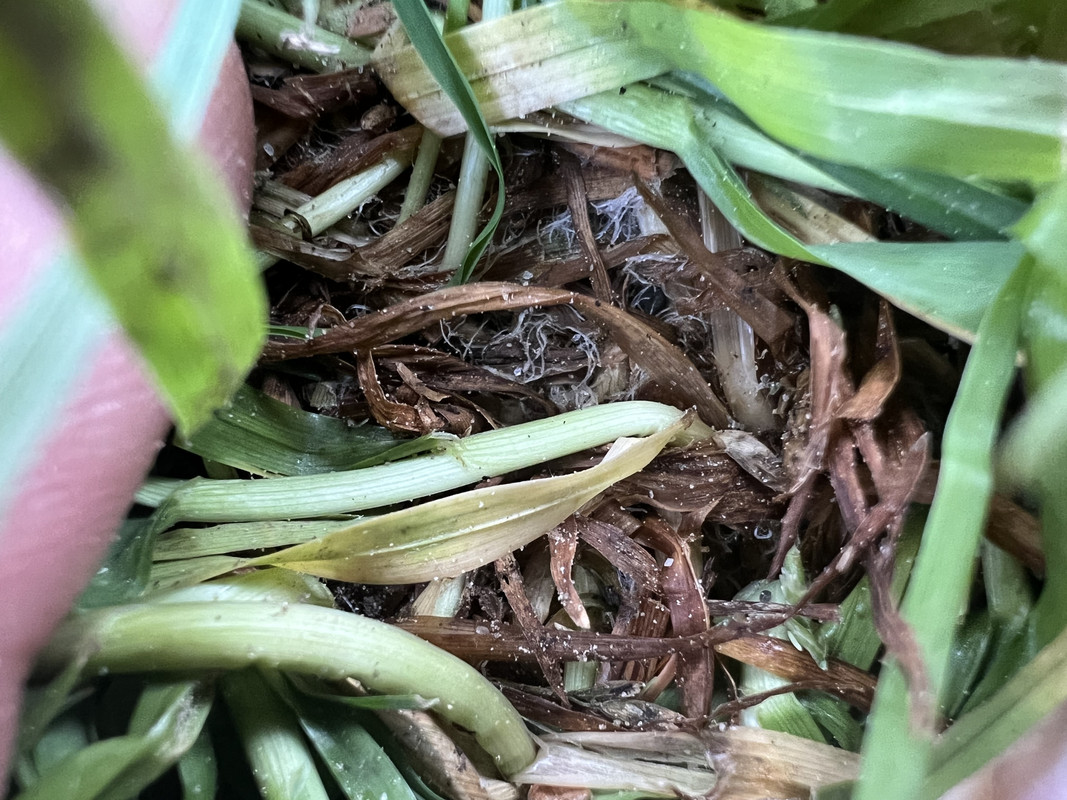 473DEE88-F983-4A6C-89DF-4D9B2C3955E7