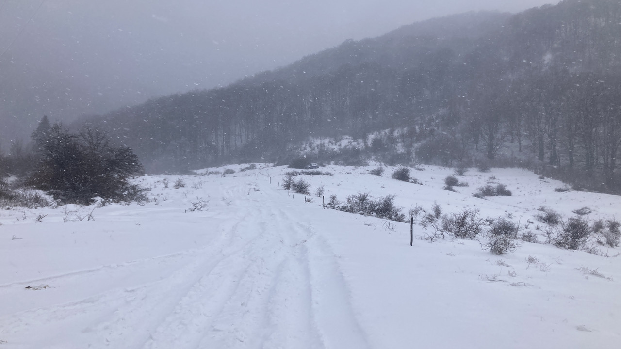 5A90F39D-A361-4A95-8F94-77BF01F25602