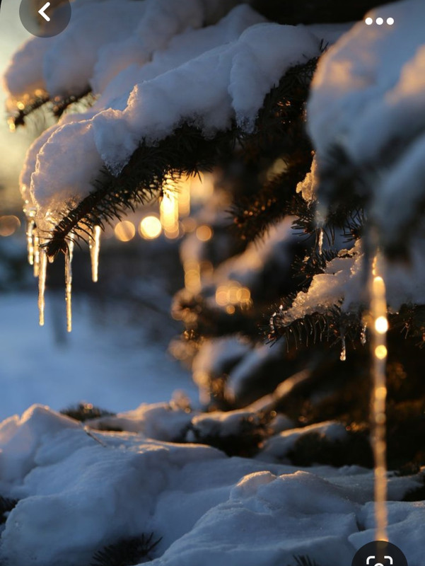 Screenshot_20231017_212618_Pinterest