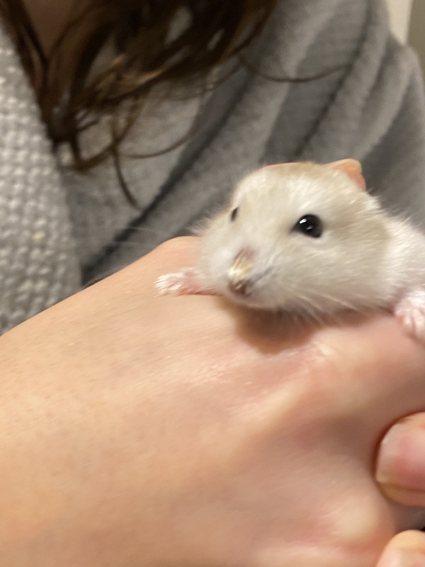 4691D1DC-15AC-453B-ABF8-5A6DAE88A0C7