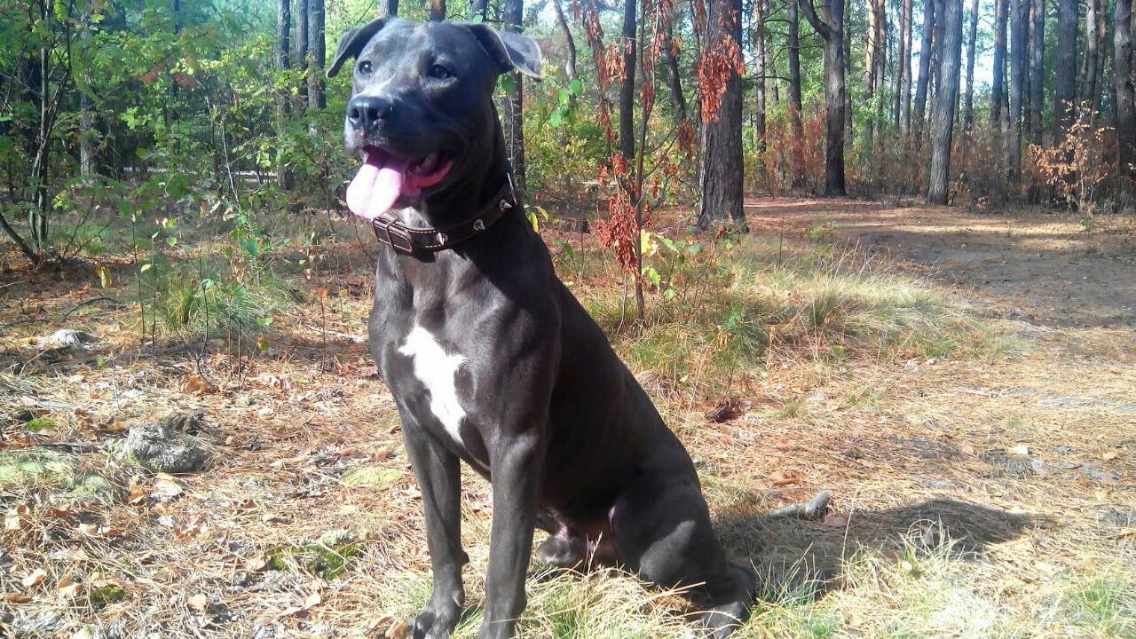 image-0-02-05-741aa638a83aeee54f7daf47c0451cc3fc741e393996bb398a