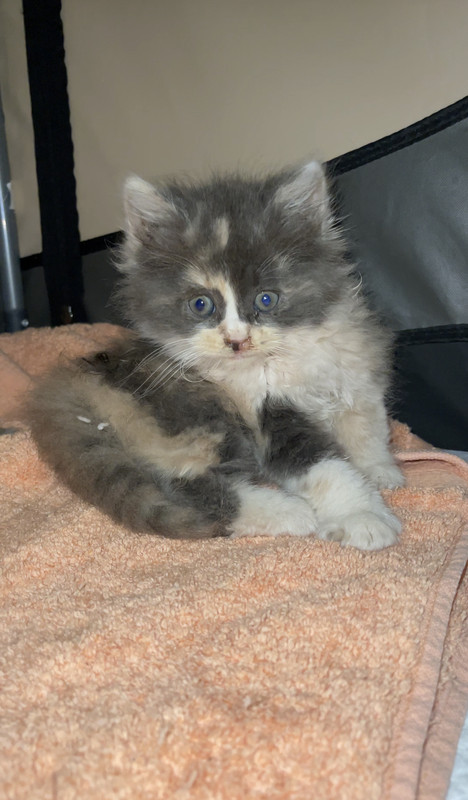 D00521D3-53FF-4A94-8E61-DB565A6F60F9