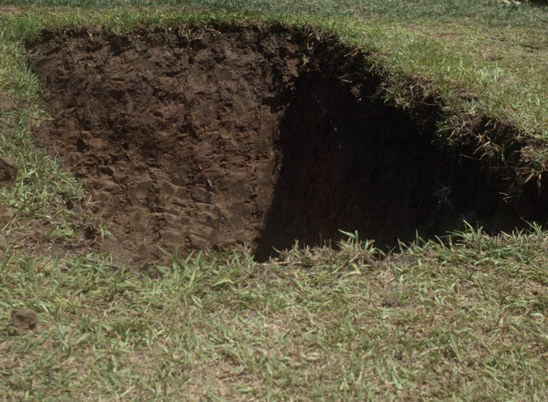 Salem's Lot 1979 (1080p x265 10bit Tigole).mkv_snapshot_01.29.51