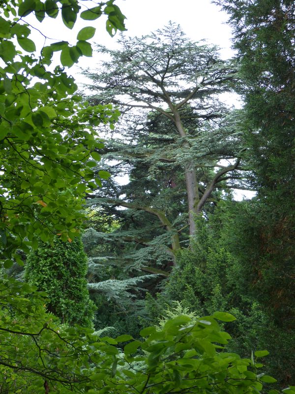 2014-07-13 Arboretum Härle 35