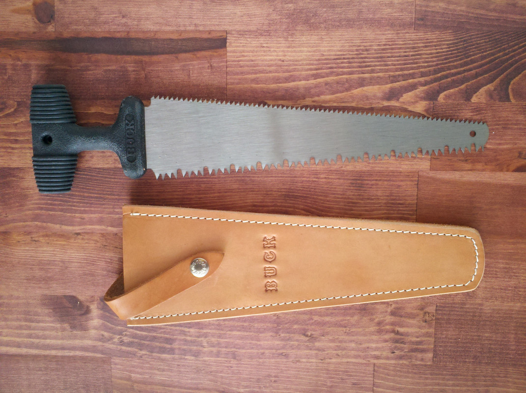 Buck-154-SAWBUCK.jpg