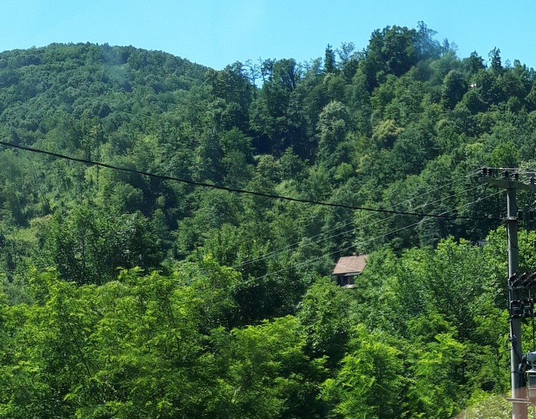 Slika