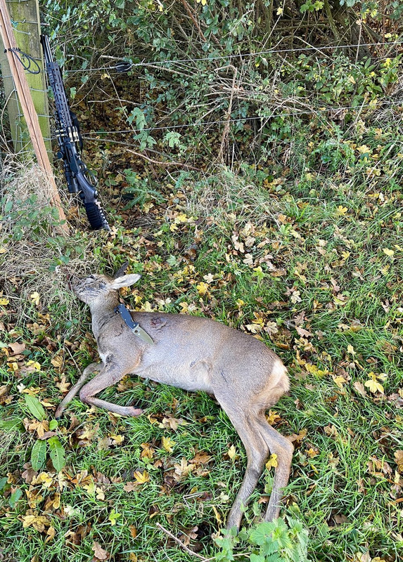 96D73A66-4295-4643-83CA-CF206E3CF0DF