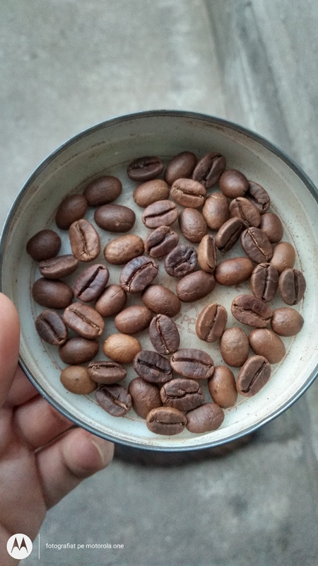 IMG_20231031_165520213_HDR