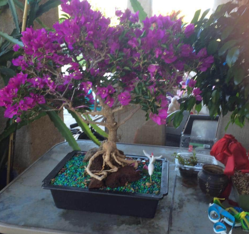 BFA47BC2-05C0-491F-81DA-792CF8E38B3D